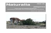 FACULTAD DE CIENCIAS NATURALES UNIVERSIDAD ... Naturalia patagónica ISSN 0327 - 8050 ISSN 0327 – 5272 NATURALIA PATAGONICA Volumen 4 (2) - Septiembre 2009 Facultad de Ciencias Naturales