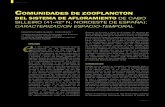 IENCIAS DEL MAR I COMUNIDADES DE ZOOPLANCTON SISTEMA DE …digital.csic.es/.../140407/1/Comunidades_zooplancton_Silleiro_2016.… · continental - forzada por accidentes geográficos
