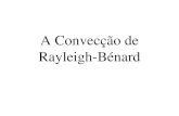 A Convecção de Rayleigh-Bénard - Instituto de Físicaportal.if.usp.br/.../files/conveccao.pdfY é proporcional à diferença de temperatura entre as correntes de fluido ascendente