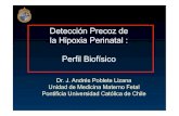 Detección Precoz de la Hipoxia Perinatal : Perfil Biofísico · Respuesta Biofísica Fetal a la Insuficiencia Placentaria 1. Temprana • Retraso en la maduración del control de
