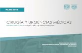 CIRUGÍA Y URGENCIAS MÉDICAS 2020seciss.facmed.unam.mx/wp-content/uploads/2019/12...2 CIRUGÍA Y URGENCIAS MÉDICAS DIRECTORIO DE LA FACULTAD DE MEDICINA Dr. Germán Enrique Fajardo