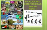 EVOLUCIÓN Y BIODIVERSIDAD Teorías Parte 1€¦ · Se basa en el examen y en la contastación de evidencias y propone que las especies cambian a lo largo del tiempo, pero a partir