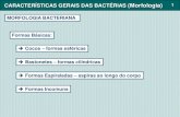 CARACTERÍSTICAS GERAIS DAS BACTÉRIAS (Morfologia) 1 · 2017. 5. 4. · CARACTERÍSTICAS GERAIS DAS BACTÉRIAS (Morfologia) 5 Lembrete de Nomenclatura das Espécies Staphylococcusaureus