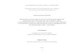 UNIVERSIDAD TECNOLÓGICA DE PEREIRA LICENCIATURA EN ...core.ac.uk/download/pdf/159377914.pdf1 universidad tecnolÓgica de pereira licenciatura en matemÁticas y fÍsica facultad de