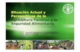 Situación Actual y Perspectivas de la Agricultura Familiar ...Quinua 11 19 73% Tarwi 15 20 33% Oca 14 23 64% Mashua 23 33 43% ... (MIP, manejo de suelos, ... oca, amaranto…) •