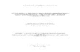 UNIVERSIDAD TECNOLÓGICA DE BOLÍVAR (UTB) ESTUDIO DE ...biblioteca.utb.edu.co/notas/tesis/0062815.pdf · universidad tecnolÓgica de bolÍvar (utb) estudio de prefactibilidad para