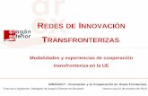 Presentacion General AREX - Innovactplatform€¦ · creado para fomentar el desarrollo sostenible del territorio fronterizo entre los tres países. Ejes Estratégicos Eje 1: Dinamizar