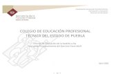 COLEGIO DE EDUCACIÓN PROFESIONAL TÉCNICA DEL ......Informe de Evaluación de la Gestión a los Programas Presupuestarios del Ejercicio Fiscal 2019 COLEGIO DE EDUCACIÓN PROFESIONAL