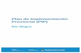 Plan de Implementación Provincial (PIP) · del ejercicio de priorización. Tuvimos para ello, en cuenta los tres indicadores sugeridos por UCAR; NBI, EAPs y presencia de Pueblos