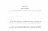 CAPITULO II MARCO TEÓRICO - URBEvirtual.urbe.edu/tesispub/0095561/cap02.pdf · Penitenciario del año 2000 y la Ley Orgánica del Sistema de Seguridad Social del año 2002. El objetivo