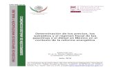 IS ÓMICO · 2018. 1. 26. · SAE-ISS-13-16 IS ÓMICO Determinación de los precios, los subsidios y el régimen fiscal de las gasolinas y el diésel en México en el contexto de
