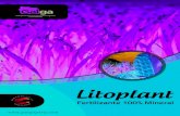 Litoplant FICHA TECNICA · 2019. 12. 7. · Litoplant 2 / Ficha técnica Ca-65 Nutrición mineral sólida Complejo mineral de origen 100% natural, que permite equilibrar el suelo