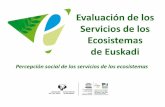 Evaluación de los Servicios de los Ecosistemas de Euskadi...Técnicos asistentes a un curso del IVAP sobre Servicios de los ecosistemas 1. Identificación y valoración de SE antes