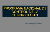 PROGRAMA DE TUBERCULOSIS · OMS abril 1993 declara a la Tuberculosis una emergencia de salud a nivel mundial OMS 2000 declara: la Tb es la enfermedad infecto-contagiosa mas importante