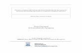 Tesis Doctoral Universidad de Zaragoza - unizar.es · Introducción a los Reactores de Lecho Fluidizado ... Aplicaciones de los Reactores de Lecho Fluidizado .....7 I. 1. 3. Sistemas