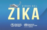 PowerPoint Presentation · síndrome de Guillain-Barré o confirmación de infección por Zika entre casos de SGB. • Con base en la evidencia analizada hasta el momento, hay consenso
