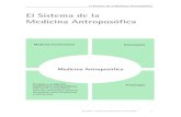 El sistema de la Medicina Antroposofica-aer · pacientes y farmacéuticos antroposóficos, y de la coordinación internacional para la medicina antroposófica/Sección Médica del