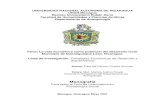 UNIVERSIDAD NACIONAL AUTONOMA DE NICARAGUA UNAN …repositorio.unan.edu.ni/9433/1/7483.pdf · Municipio de Quezalguaque-León, Nicaragua. Línea de Investigación: Estrategias Económicas