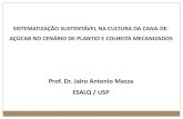 Prof. Dr. Jairo Antonio Mazza ESALQ / USP...características de solo, topografia e clima CONSTATAÇÕES Grande incremento da compactação (de 10 a 15 vezes) de forma generalizada