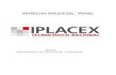DERECHO PROCESAL PENALcursos.iplacex.cl/CED/DPP4201/S6/ME_6.pdf · 11 Correa Selamé Jorge, Curso de Derecho Procesal Penal, ediciones Jurídicas de Santiago, 2004, Santiago, Chile,