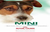 CMJN de base - zooplus MINI SIZE... · 2009. 9. 14. · perros cazadores, perros de deporte ... Las croquetas contribuyen plenamente a la Nutrición-Salud. Por su forma, su textura