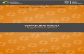 CONTABILIDAD PÚBLICA - UNSE · Diferencias con la Hacienda Privada. Contabilidad Pública Concepto, naturaleza y contenidos. Unidad Temática II- El Presupuesto y su Estructura Síntesis