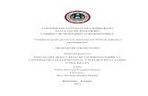 UNIVERSIDAD NACIONAL DE CHIMBORAZO FACULTAD DE …dspace.unach.edu.ec/bitstream/51000/3795/1/UNACH... · Los miembros del Tribunal de Graduación del proyecto de investigación de