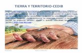 TIERRA Y TERRITORIO-CEDIBSegún datos del informe de la FAO: "Situación de los bosques del mundo 1997", había, en 1995, 3.454 millones de hectáreas de bosques naturales y plantados,