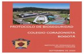 PROTOCOLO DE BIOSEGURIDAD...bioseguridad a tener en cuenta a fin de reducir el riesgo de contagio de COVID-19. g) Informará a los miembros de la comunidad educativa sobre los mecanismos