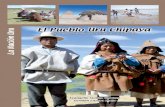 EL PUEBLO URU CHIPAYA - dicyt.uto.edu.bodicyt.uto.edu.bo/observatorio/wp-content/uploads/2019/04/EL-PUEBL… · Manejo del agua en el territorio Uru Chipaya.....7 1.2.2. La buena
