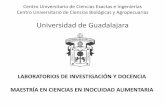 Universidad de Guadalajara · 2020. 5. 20. · Microbiología de los Alimentos Dra. Ma. Ofelia Rodríguez Campana de flujo laminar nivel de seguridad II, penetrómetro, incubadoras,