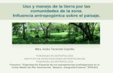 Presentación de PowerPoint - Camafu...Manilkara zapota SAPOTACEAE Chicozapote m 12 6.31 Pinus caribea PINACEAE Ocote m 6 3.15 Byrsonima crassifolia MALPIGHIACEAE Nance s 4 2.10 Zea