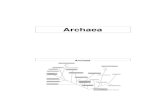 Archaea - UGentjswings/Micro_3/Micro3-les5.pdf3 Extreme halofiele Archaea • 1.5 M (9%) NaCl • 2 – 4 M (12 – 23%) • 5.5 M (32%) Ionensamenstelling van sterk zoute milieus
