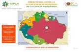 IMPACTO DEL COVID-19 EN LOS PUEBLOS INDÍGENAS ......2020/10/11  · ción del impacto del COVID-19 en las poblaciones indígenas de esta región. A los pueblos indígenas amazónicos,
