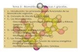 Tema 3.- Biomoléculas orgánicas I: glúcidos. · 2020. 10. 14. · Tema 3.- Biomoléculas orgánicas I: glúcidos. • A.-Introducción: los principales grupos funcionales de las