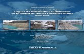 Evaluación Ingeniero – Geológico de la Laguna de ...€¦ · En éste trabajo, a parte del análisis del peligro geológico en el área de la laguna, se realizó el estudio de