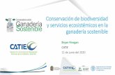 Conservación de biodiversidad y servicios ecosistémicos en ......BIO101: Biodiversidad, paisajes y servicios ecosistémicos Objetivos de esta charla 1. Comunicar como todos los seres