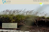 Turbera de Zalama (4,9 km) - Ura Agentzia · 2014. 9. 23. · suelo formando espesores variables de restos vegetales muy fragmentados que, a la manera de una esponja, absorben y retienen