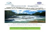 Octubre de 2018 Número 4 - AGUANETaguanet.com.mx/archivos/SOMOSAGUA4.pdf · 2019. 11. 15. · país con una superﬁcie de 1.116 km2 y profundidad de 4-6 m y el lago de Cuitzeo en