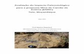 Avaliação do Impacto Paleontológico para a proposta Mina de …gcs-sa.biz/wp-content/uploads/2017/01/App-M-Palae... · 2017. 1. 24. · examinei os afloramentos. Uma vez que não