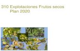 310 Explotaciones Frutos secos Plan 2020...de Almendro en los módulos 1 ó 2, no se podrá asegurar en el módulo P. ⎯ Si tuviese explotaciones de Algarrobo, Avellano, Nogal y Pistacho,