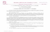 Orden sin firma - Camara de Comercio de León...siguiente al de la publicación de este extracto en el Boletín Oficial de Castilla y León y finalizará el 8 de agosto de 2020. Valladolid,