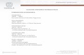 CLAUDIO ANTONIO ESTRADA RUIZ FORMACION ACADEMICAtonala.gob.mx/portal/wp-content/uploads/2018/12/CLAUDIO-ANTONI… · aprobacion del proyecto de ampliacion y remodelacion de consulta
