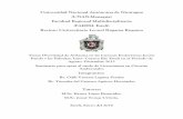 Universidad Nacional Autónoma de Nicaragua (UNAN-Managua) …repositorio.unan.edu.ni/5977/1/17897.pdf · 2017. 10. 11. · Diversidad de Avifauna en las Cuencas Endorreicas Jocote