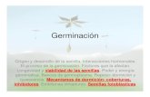Germinación...GERMINACION • La germinación es el regreso a la vida activa de un embrión que se hallaba en reposo. • Comienza con la absorción de agua por la semilla (Imbibición)