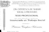 FACULTAD DE TRABAJO SOCIAL UNA EXPERIENCIA DE TRABAJO ...biblioteca.esucomex.cl/RCA/Una experiencia de trabajo social... · UNA EXPERIENCIA DE TRABAJO SOCIAL COMUNITARIO. TESIS PROFESIONAL