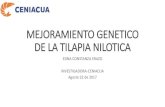 MEJORAMIENTO GENETICO DE LA TILAPIA NILOTICA · 2017. 9. 16. · Control de consanguinidad ... Homogenización: Descarte de los individuos más pequeños y más grandes de cada desove.