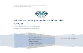 Planta de producci£³n de MCB - UAB Barcelona ... Cap£­tulo 9. Operaci£³n en planta Planta de producci£³n
