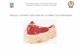 MODULO: CALIDAD E INOCUIDAD DE LA CARNE Y SUS DERIVADOS de los modulos/Módulo... · 2020. 8. 18. · de la carne y sus derivados que pueden afectar la salud pública. PROBLEMA EJE