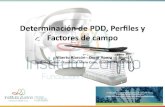Determinación de PDD, Perfiles y Factores de campo · – Detector de referencia b) PDD - CAX aire – Perfiles de dosis en profundidad ... Contenido. Preparación de medidas relativas